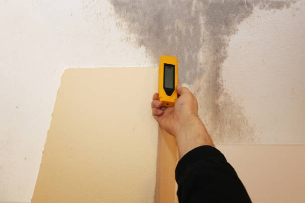 Best Mold Documentation for Insurance Claims  in Thunderbolt, GA