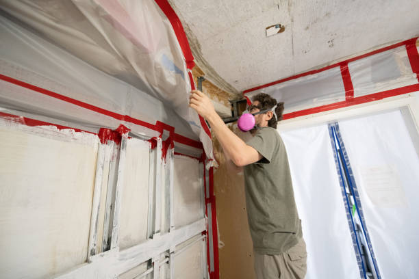 Best Industrial Mold Remediation  in Thunderbolt, GA
