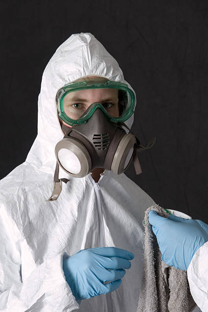 Reliable Thunderbolt, GA Mold Removal Solutions